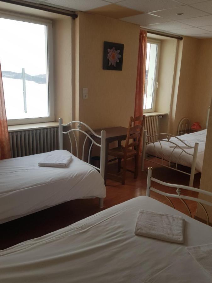 Hotel Des Cevennes Mezilhac Kültér fotó